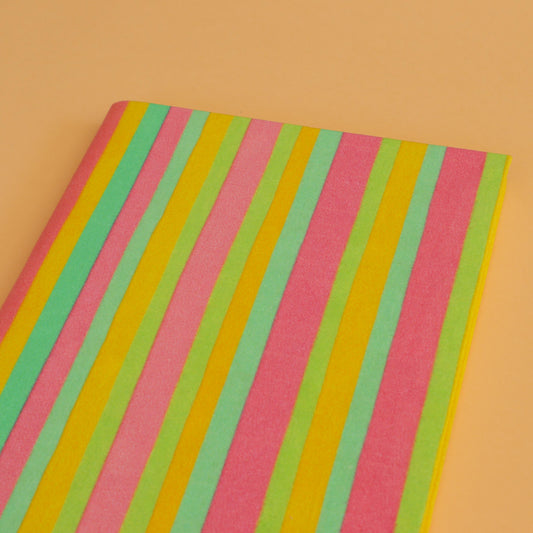 Carnet Fanny Menoret - Rayures
